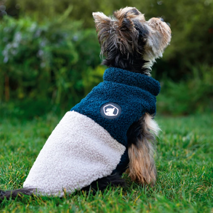 Chaqueta de chiporro colores para perros y gatos - Azul