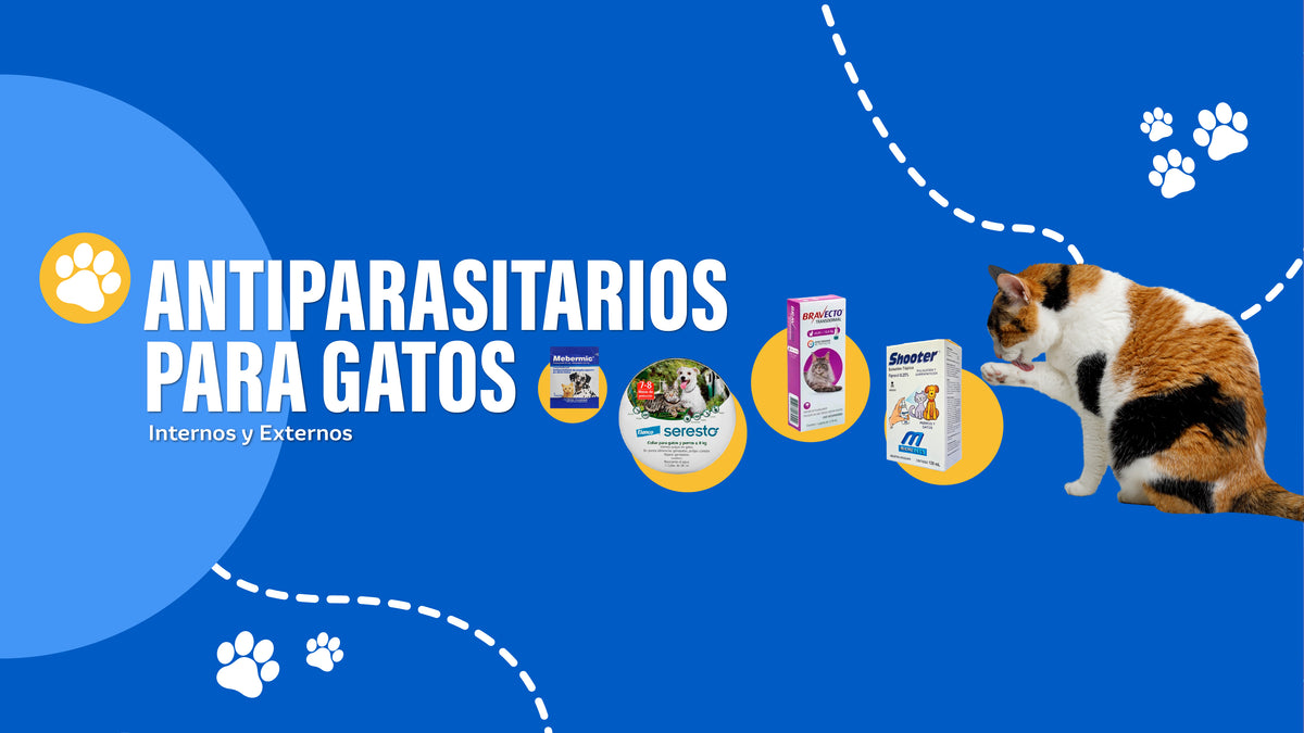 La mejor selección de antiparasitarios internos y externos para gatos y perros, pipetas, collares y spray con despacho a todo Chile.
