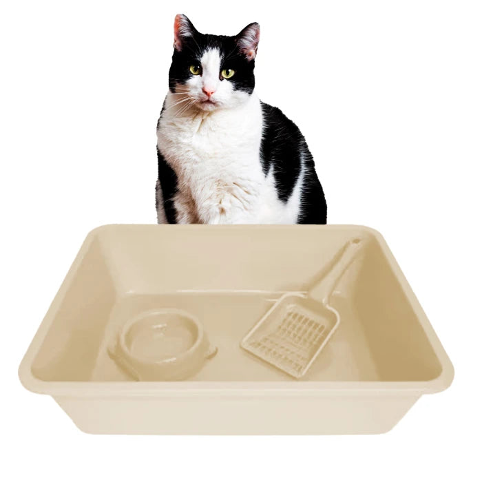 Pack Sanitario de gatos (Baño-Pala-Plato 32x43x9) Beige - imagen 1