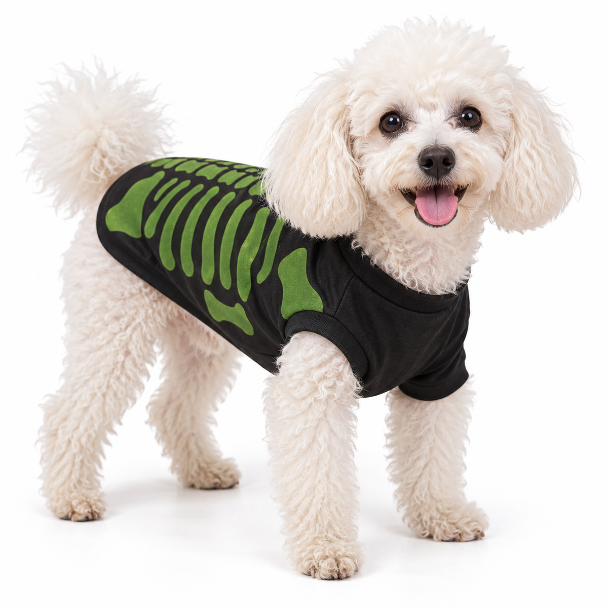 Disfraz Halloween - Calavera Negro con Verde