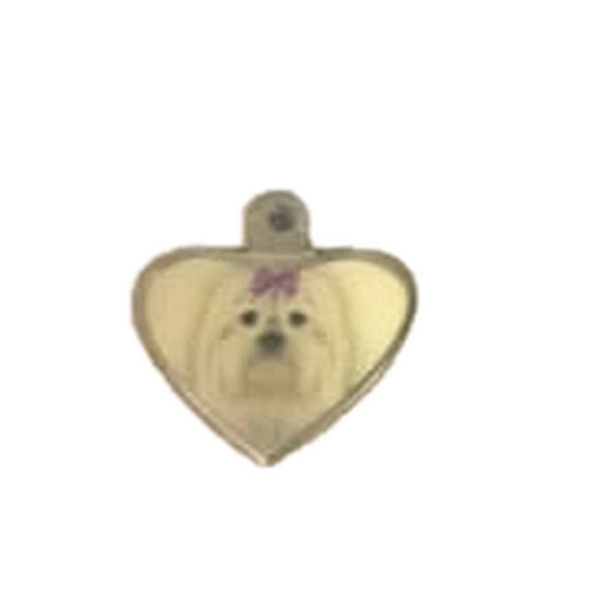 Placa grabable Maltés corazón - PT121