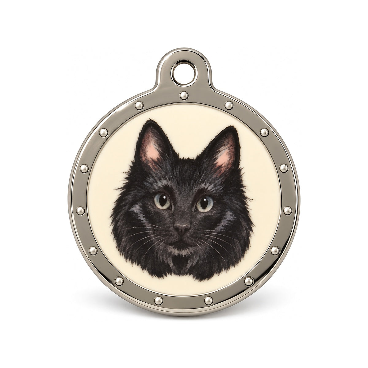 PT137 placa de identificación - frente