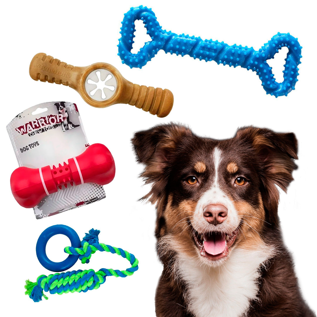 Pack Juguete Perro L - Perros Razas Medianas y Grandes