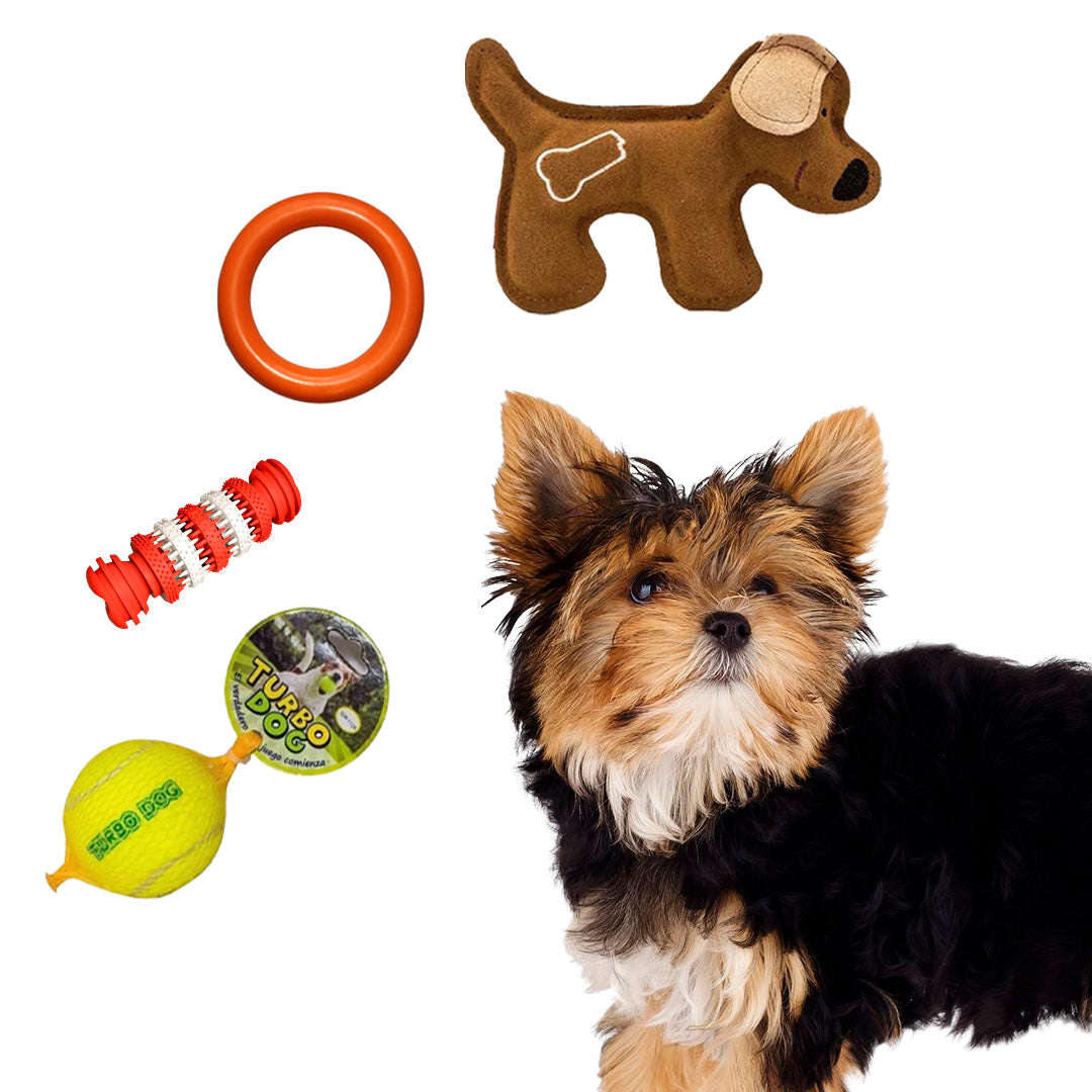 Pack Juguetes Perro S - Cachorros y Razas Pequeñas