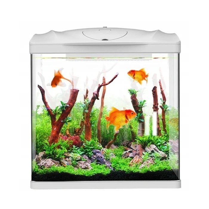 Acuario Sunsun 72 Litros - Pethome
