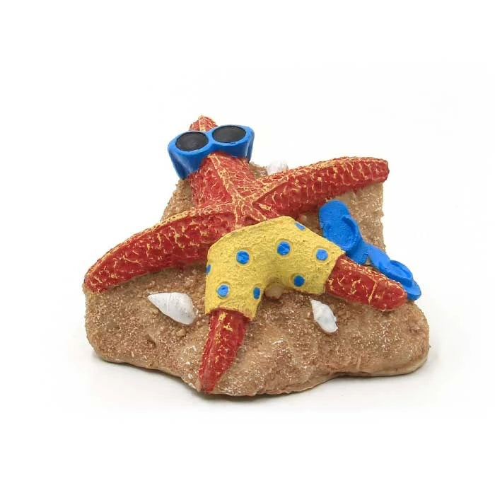 Adorno Estrella de Mar para Acuario - imagen 1