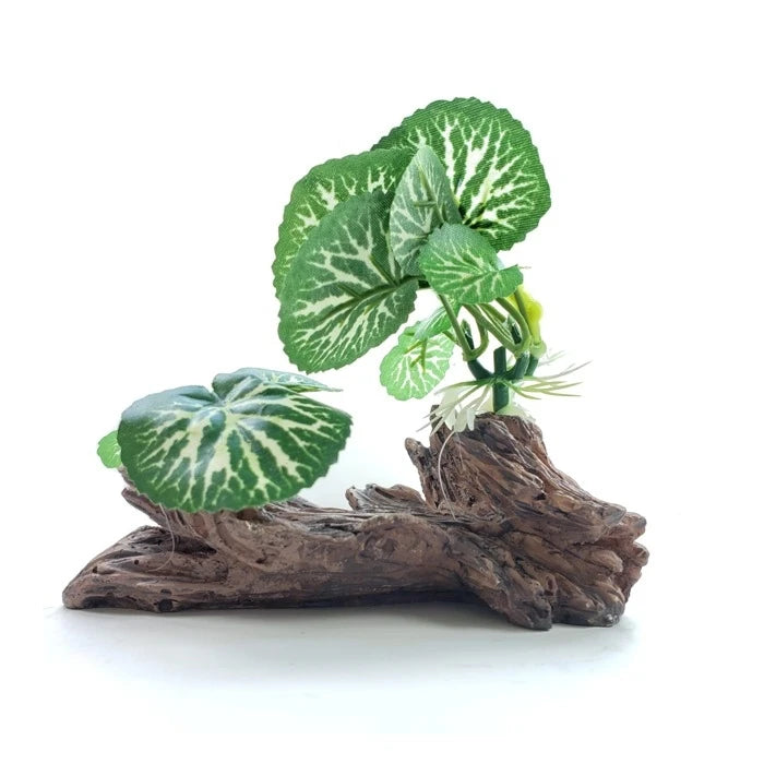 Adorno Tronco con Plantas