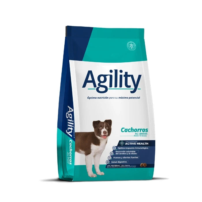 Agility Perro Cachorro All Breed