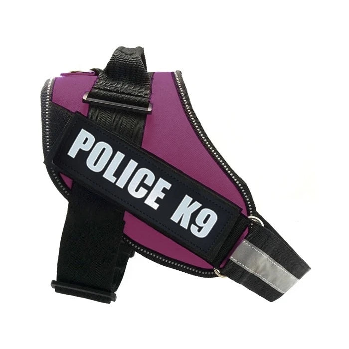 Arnes Pechera Wonder Dog Morado con Figuras