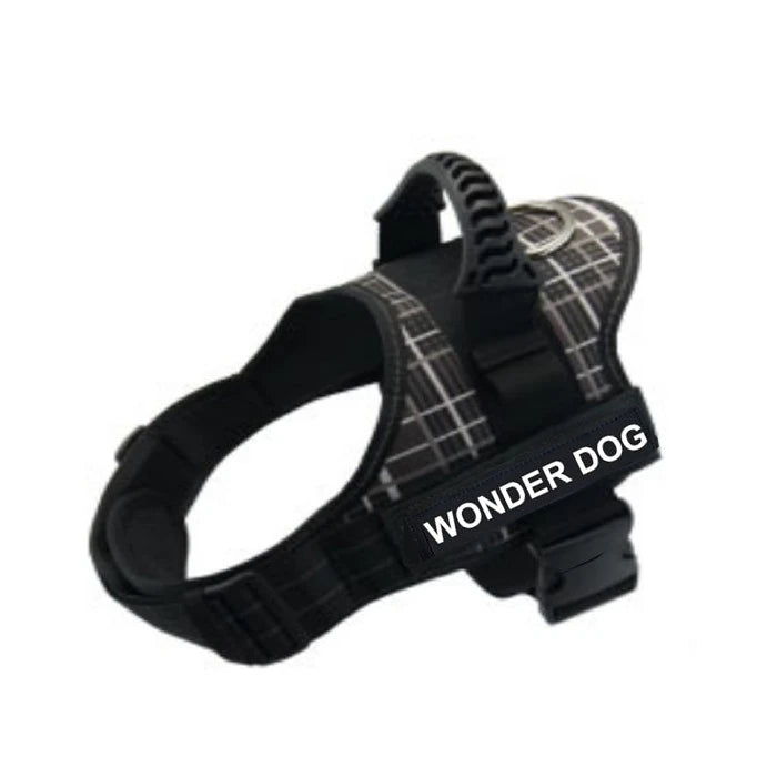 Arnes Wonder Dog Pro Gris