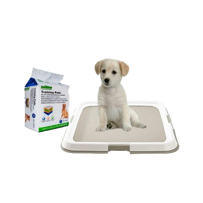 Baño de perro + pañal de Adiestramiento
