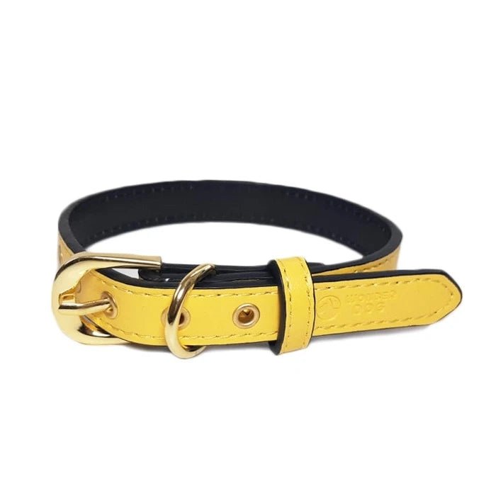 COLLAR 1.6X35 CM - Pethome
