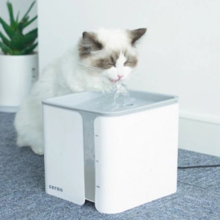 Fuente de Agua para perros y gatos con sistema silencioso 2Lts - Pethome
