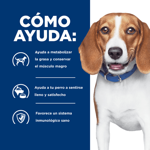 HILLS CANINE R/D WEIGHT LOSS - Pethome