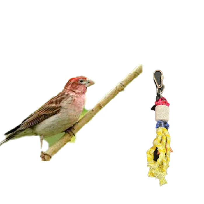 Juguete colgante de piedra Gomez para Aves - imagen 1