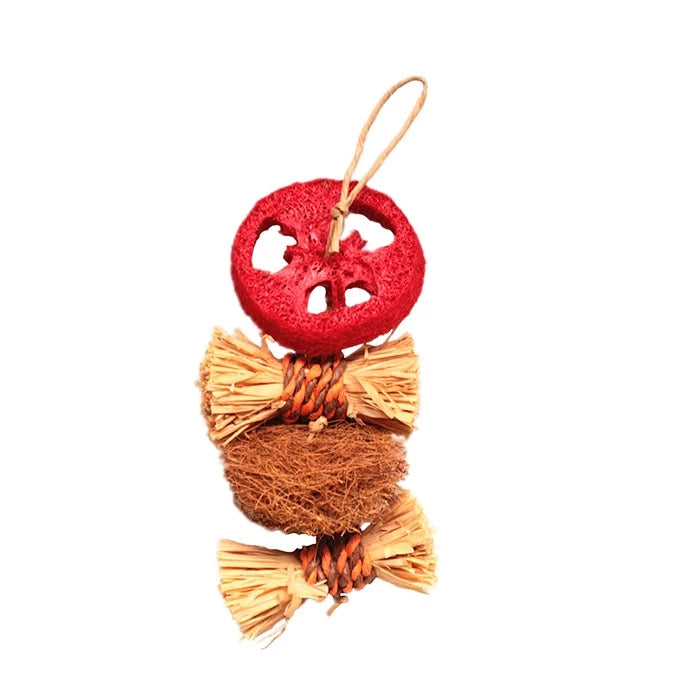 Juguete Colgante Rodajas Loofah - imagen 1