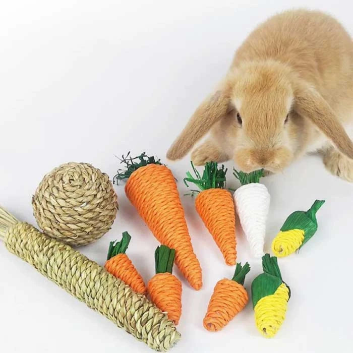 Juguete Zanahoria para Mascotas Pequeñas - imagen 1