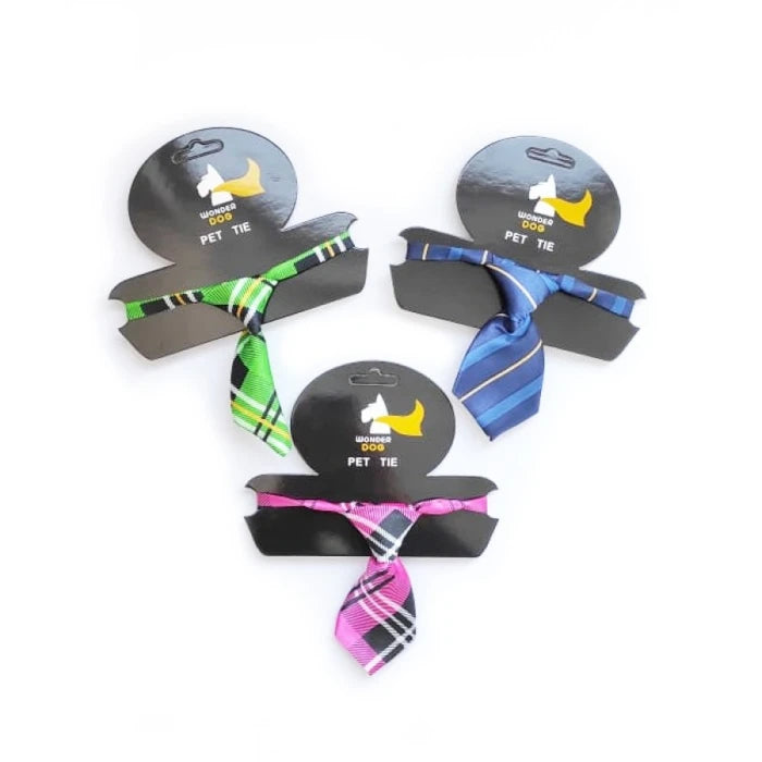 KIT CORBATA + SNACK GATO