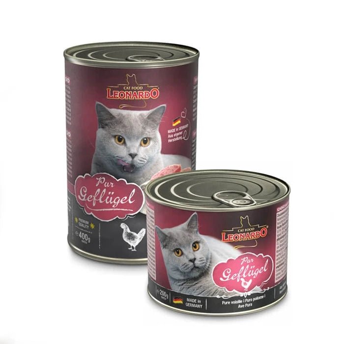 Leonardo Latas Ave para Gatos - Pethome