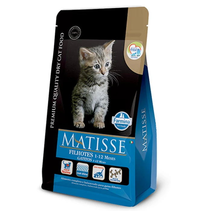 Matisse Filhote Gatitos