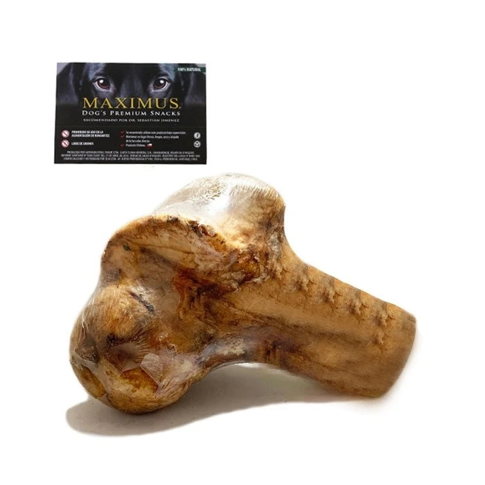 HUESO TROZO BOVINO NATURAL SNACK