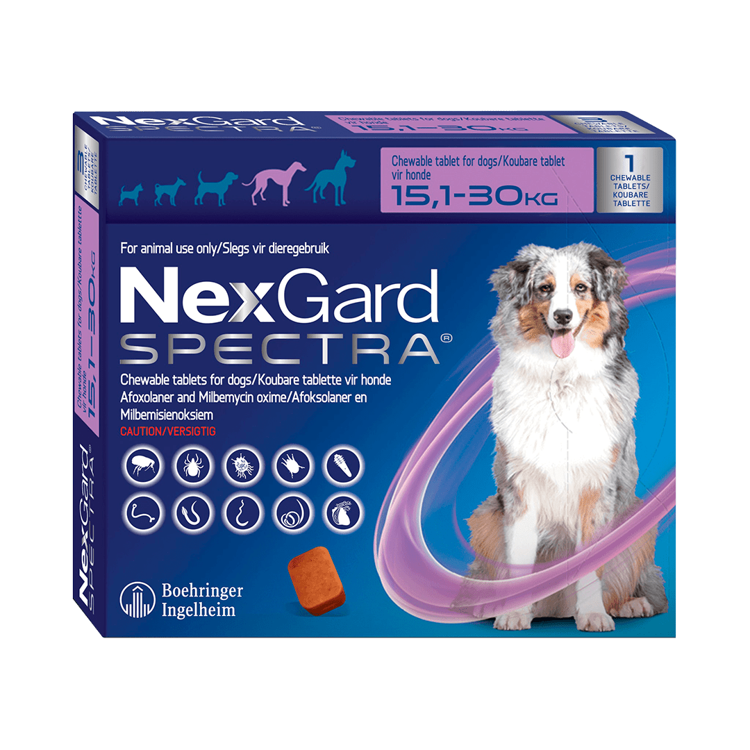 Nexgard Spectra Antiparasitario 1 Comprimido - Pethome