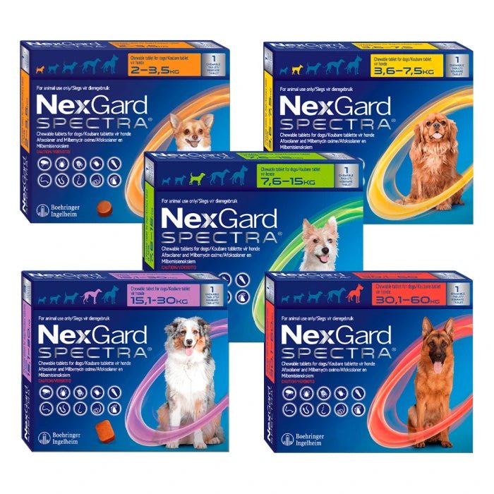 Nexgard Spectra Antiparasitario 1 Comprimido - Pethome