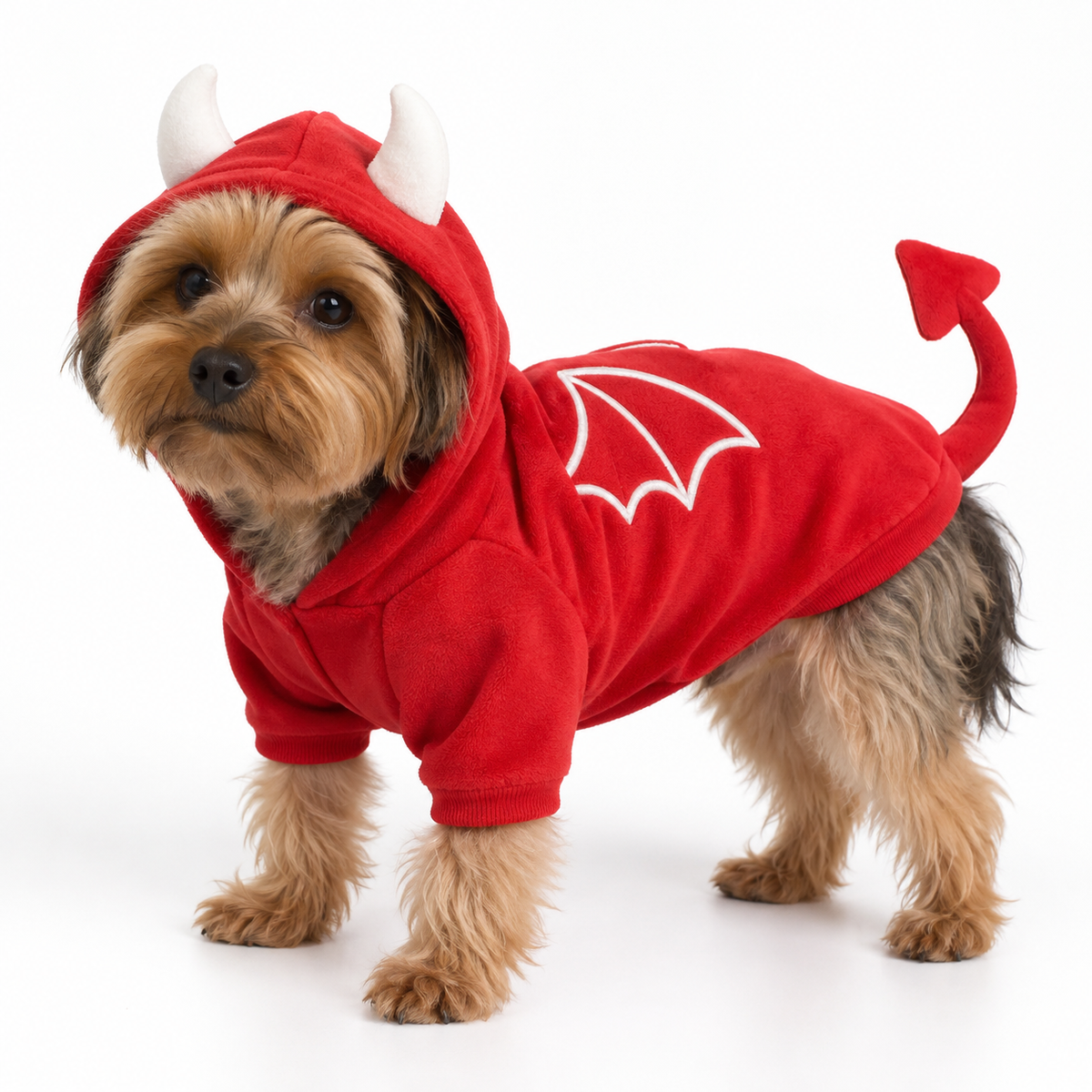 Disfraz de Diablo con Iluminación para perros y gatos en mascota real
