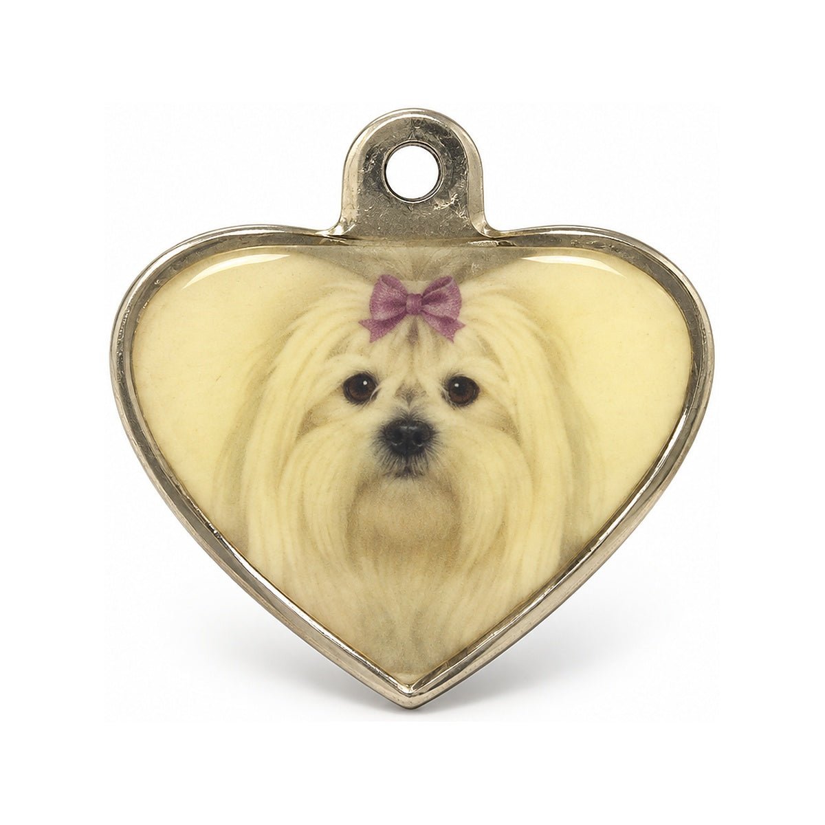 Placa de identificación personalizada Maltés corazón con grabado - Pethome