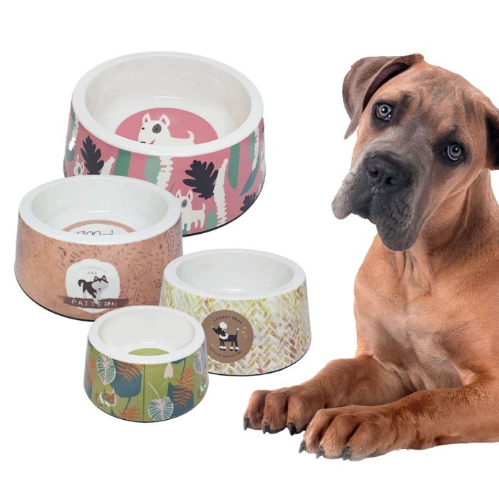 Plato para perros y gatos melamina profundo diseños - Pethome