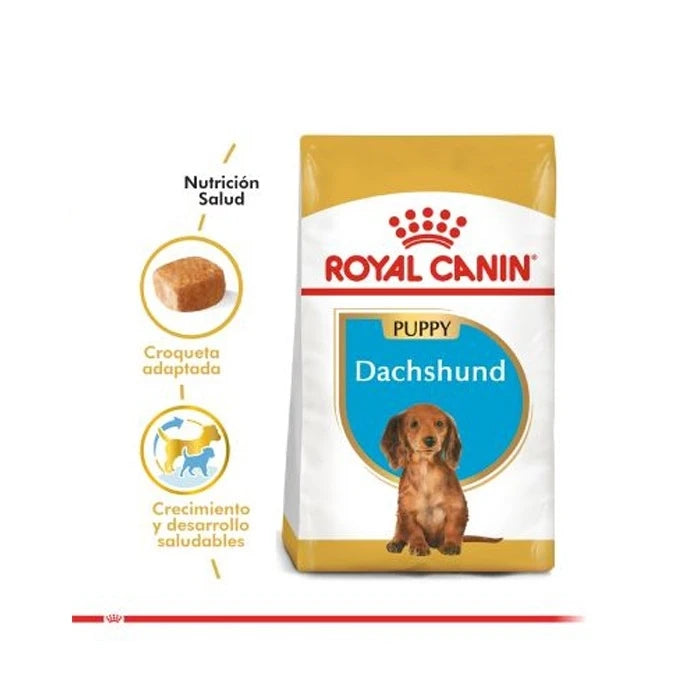 DACHSHUND 2.5 KG JUNIOR
