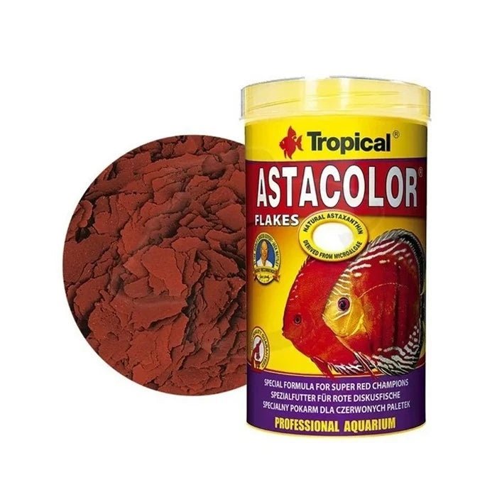 Tropical Alimento especial para disco rojo Astacolor - Pethome