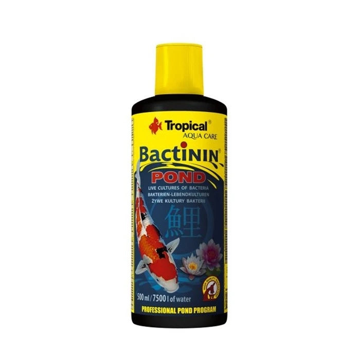 Tropical Bactinin Pond
