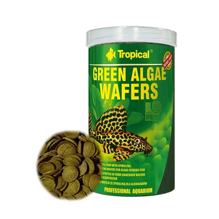 Tropical Green Algae Wafers