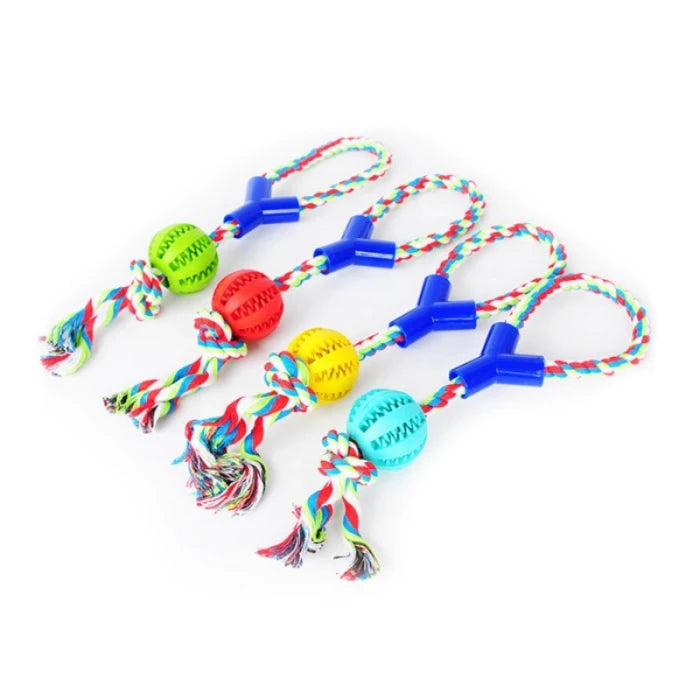 Warrior - Pelota dental con cuerda - imagen 1