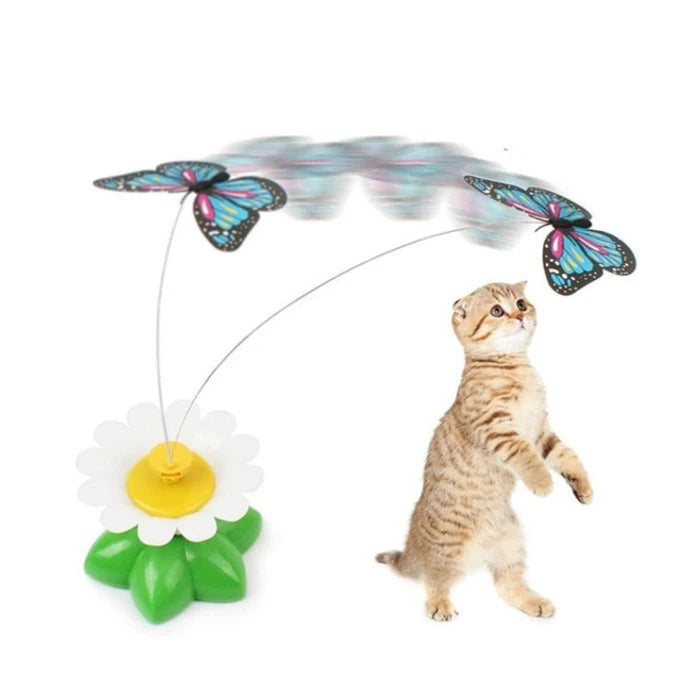 Wonder Cat Juguete Gato Mariposa - imagen 1