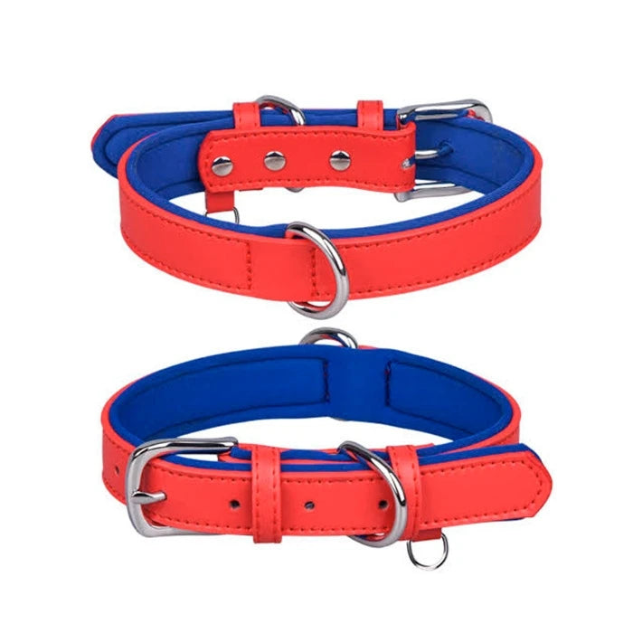 Wonder dog Collar eco cuero bicolor