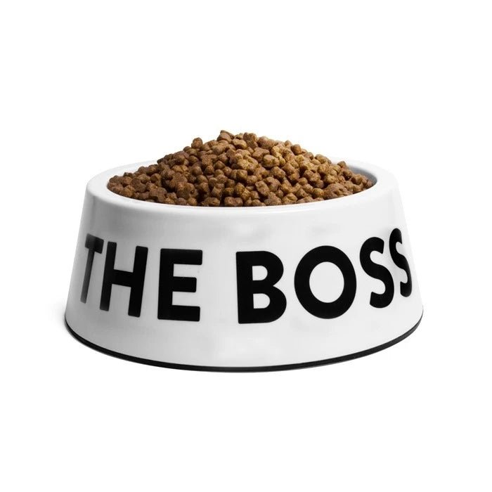 Zee Dog Bowl The Boss White - Pethome