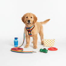 Accesorios de Paseo para Perros - Pethome