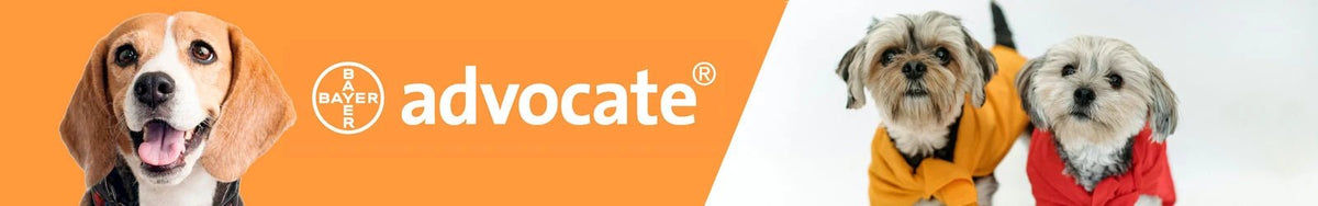 Advocate - Pethome
