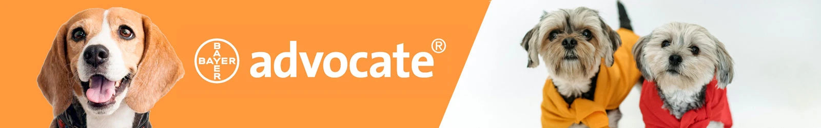 Advocate
