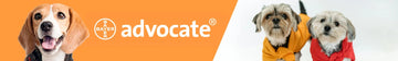 Advocate