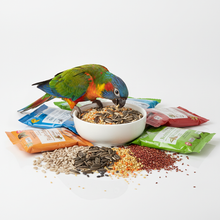 Alimentos para Aves