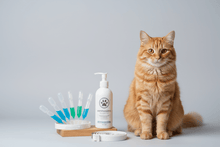 Antiparasitarios para Gatos - Pethome