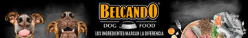 Belcando