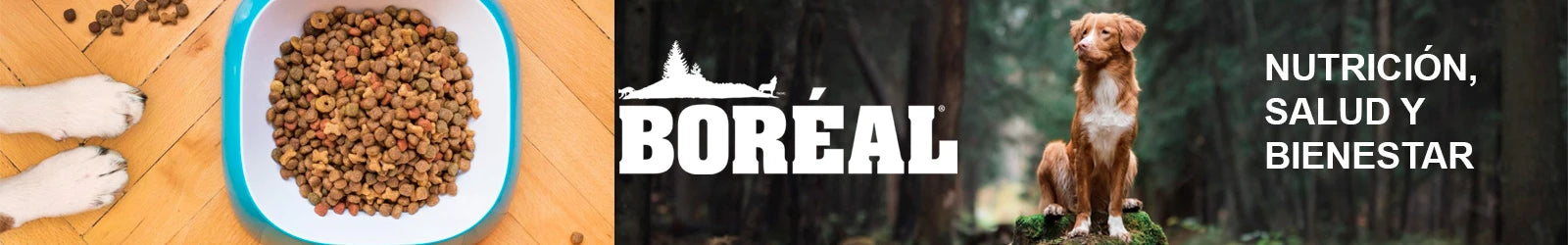 Boréal