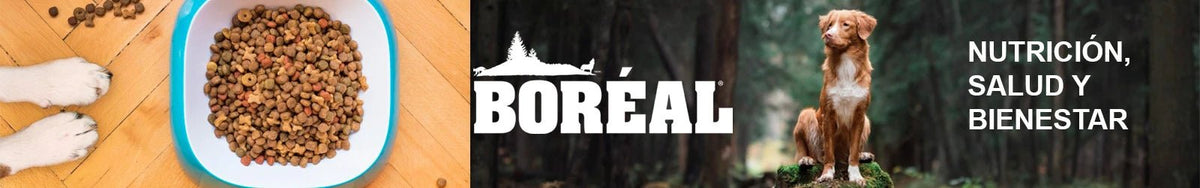 Boréal - Pethome