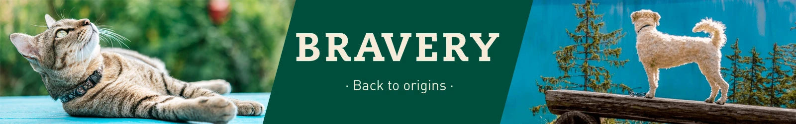 Bravery