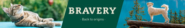 Bravery
