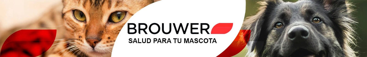 Brouwer - Pethome